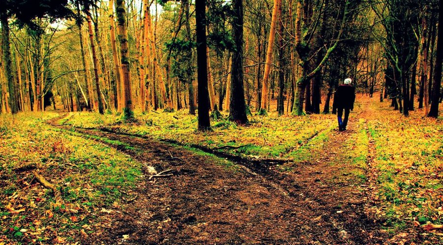 Beyond Naturalism and Towards True&nbsp;Knowledge