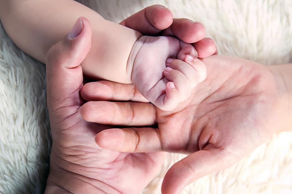 J. Budziszewski’s Natural Theology of Sex: A Pathway to Biblical&nbsp;Understanding